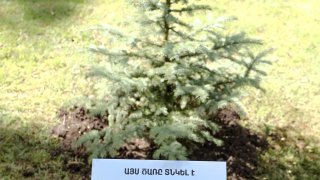 Քննչական կոմիտեի անձնակազմն Արթուր Պողոսյանի հետ միասին մասնակցել է համապետական շաբաթօրյակին